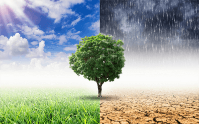 LIMATE CHANGE